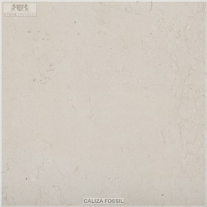 Caliza Fossil Limestone Tiles & Slabs, Spain Limestone Tiles & Slabs