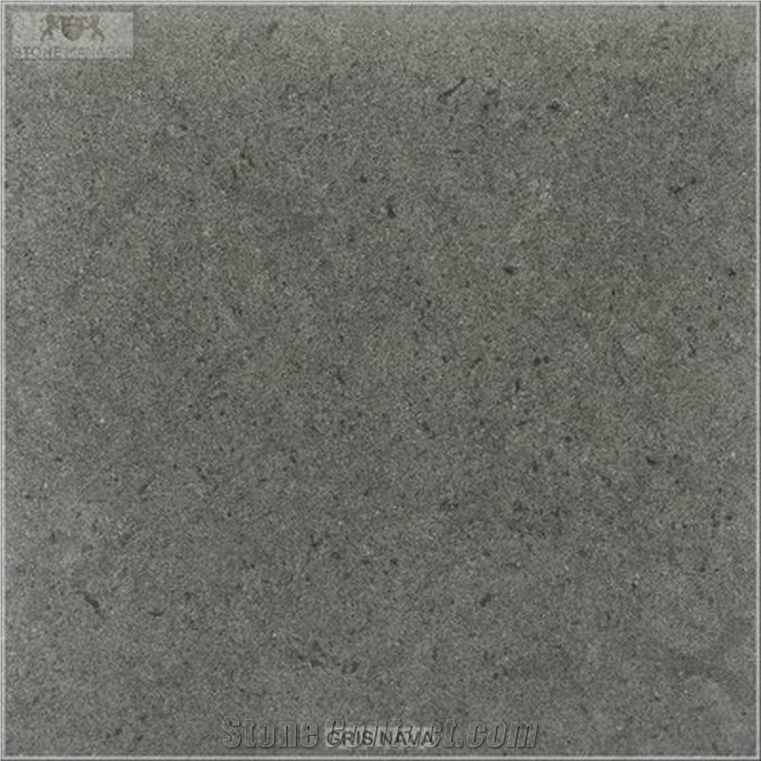 Spian Gris Nava Sandstone Tiles & Slabs