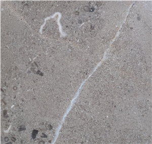 Halkyn Light Limestone Honed Aged Floor Tiles