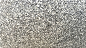 Mudgal Grey Granite Slabs