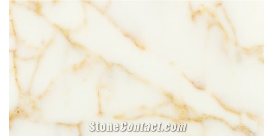 Marble Slabs & Tiles