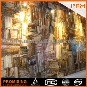 Elegant/Luxury/Petrified Wood Semiprecious Stone/Gemstone/Composited Slabs/Tiles/Wall Covering/Interior Decoration for Kitchen/Background/Counter Top/Wholesaler Elegant/Luxury/Petrified Wood Semiprecious Stone/Gemstone/Composited Slabs/Tiles/Wall Covering/Interior Decoration for Kitchen/Background/Counter Top/Wholesaler
