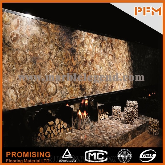 Elegant/Luxury/Petrified Wood Semiprecious Stone/Gemstone/Composited Slabs/Tiles/Wall Covering/Interior Decoration for Kitchen/Background/Counter Top/Wholesaler