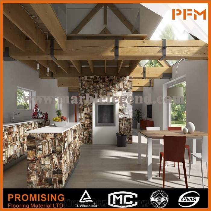 Elegant/Luxury/Petrified Wood Semiprecious Stone/Gemstone/Composited Slabs/Tiles/Wall Covering/Interior Decoration for Kitchen/Background/Counter Top/Wholesaler