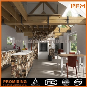 Elegant/Luxury/Petrified Wood Semiprecious Stone/Gemstone/Composited Slabs/Tiles/Wall Covering/Interior Decoration for Kitchen/Background/Counter Top/Wholesaler