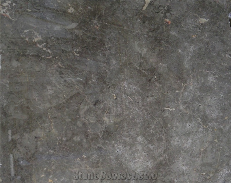 Grigio Billiemi Marble Slabs