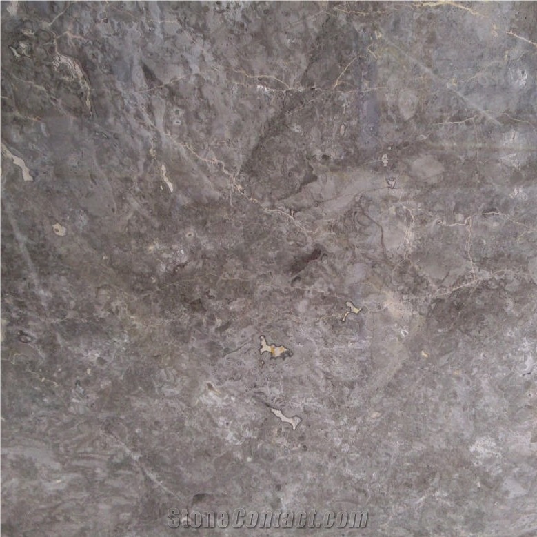Grigio Billiemi Marble Slabs