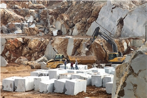 Olive Marone Dark Marble Blocks