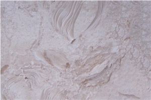 Shells Reef Beige Limestone