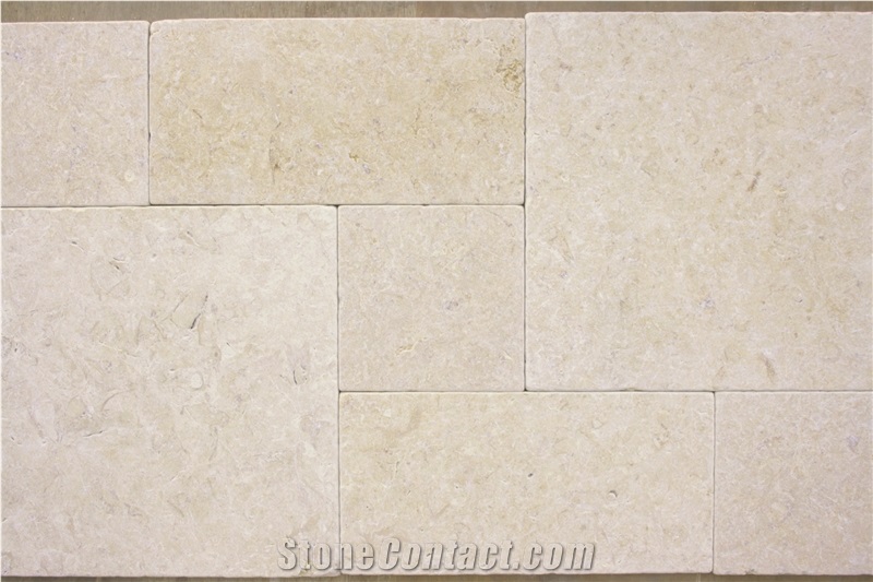 Cambrian Fossil Limestone Pattern