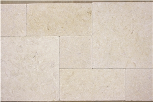 Cambrian Fossil Limestone Pattern Cambrian Fossil Limestone Pattern