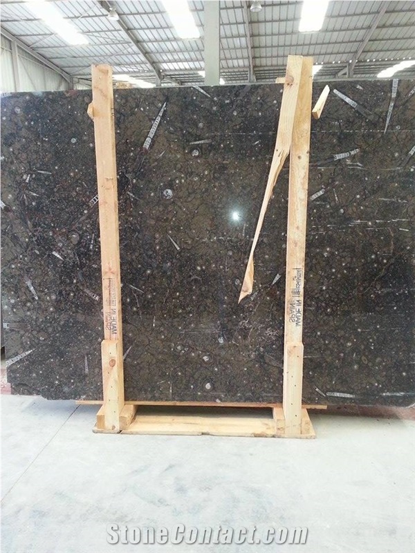 Fossil Brown Slabs