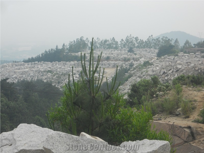 G603 Granite Blocks,China Grey Granite Blocks-Own Quarry