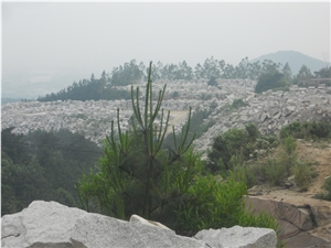 G603 Granite Blocks,China Grey Granite Blocks-Own Quarry