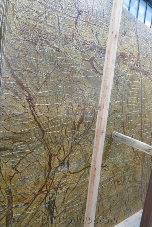 Rainforest Gold Marble,Tropical Rain Forest,Gold Marble,Yellow Marble,Tile & Slabs,India Marble