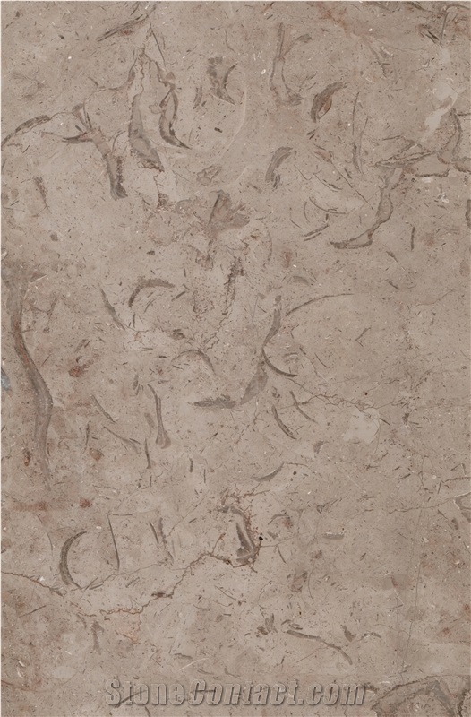 Milly Sicilia Marble Tiles & Slabs, Brown Marble Egypt Tiles & Slabs