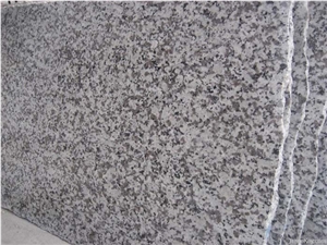 G439 White Granite Polished Tiles Slabs/Da Bai Hua Granite/Guangdong Granite/Grey Granite French Pattern