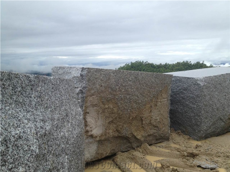 G439 White Granite Polished Tiles Slabs/Da Bai Hua Granite/Guangdong Granite/Grey Granite French Pattern