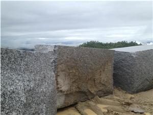 G439 White Granite Polished Tiles Slabs/Da Bai Hua Granite/Guangdong Granite/Grey Granite French Pattern