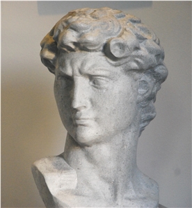 Michelangelo S David - a Bust by Rugo Stone.