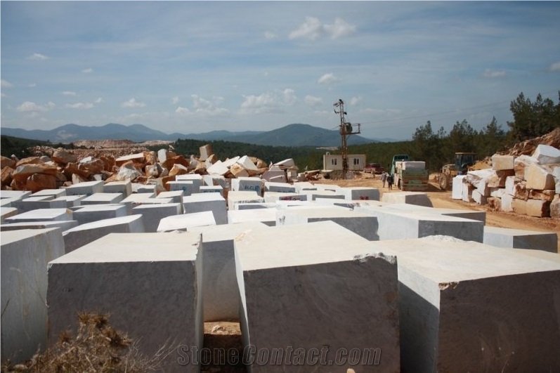 Antilop Marble Slabs & Tiles, Turkey Grey Marble