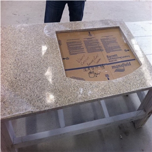 Outstanding Pollution-Resistance Natural Beauty High Quality Quartz Stone Surfaces with Single Bowl Undermount Sink
