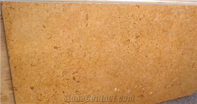 Fossil Gold Limestone, Jaisalmer Fossil Gold Limestone Tiles & Slabs