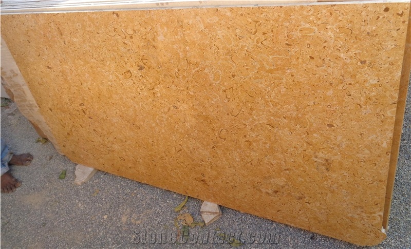 Fossil Gold Limestone, Jaisalmer Fossil Gold Limestone Tiles & Slabs