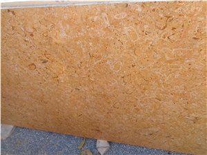 Fossil Gold Limestone, Jaisalmer Fossil Gold Limestone Tiles & Slabs