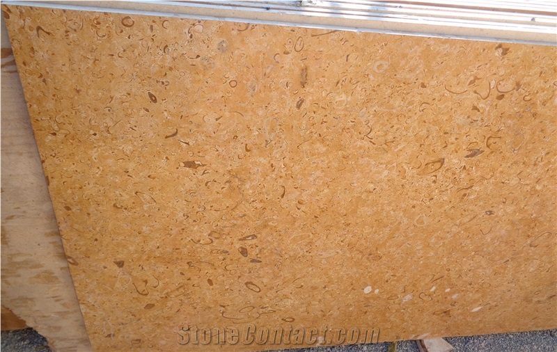 Fossil Gold Limestone, Jaisalmer Fossil Gold Limestone Tiles & Slabs