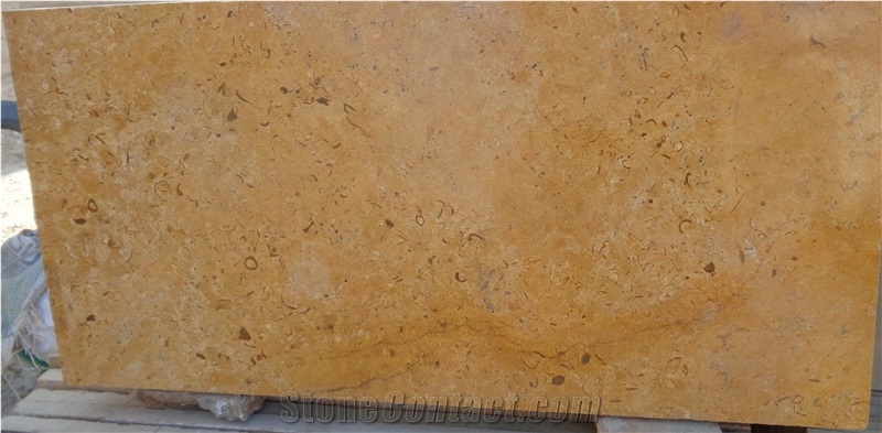 Fossil Gold Limestone, Jaisalmer Fossil Gold Limestone Tiles & Slabs