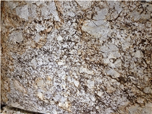 Golden Silver Granite Slab