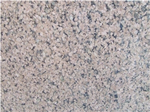 Najran Emerald Granite Slab, Saudi Arabia Green Granite