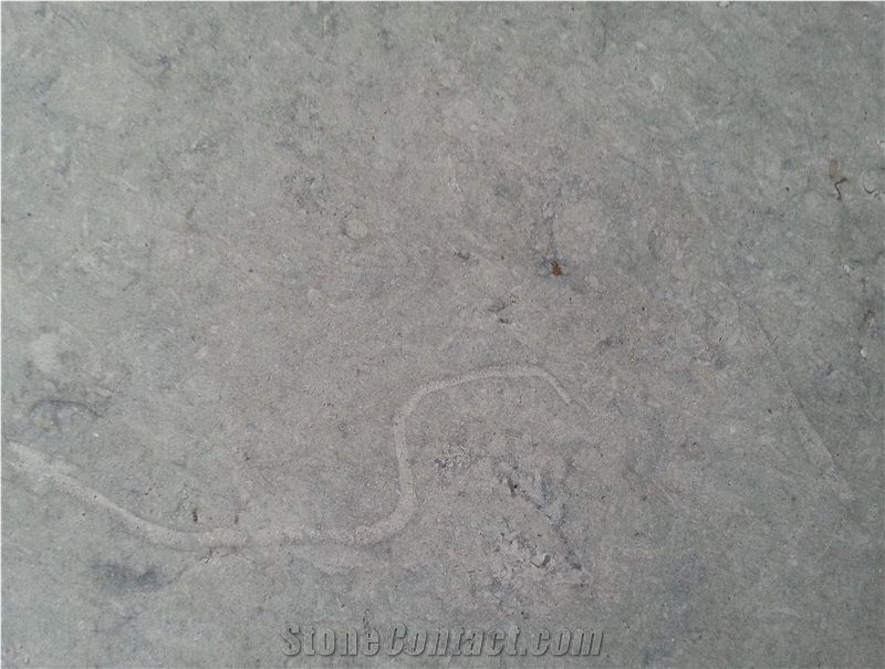 Thala Grey, Tunisia Grey Limestone Block