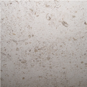 Navarra Beige Limestone - Fossil Collection