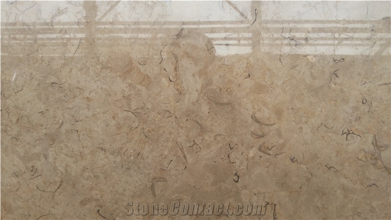 Katreen Milly Beige Marble Tiles & Slabs