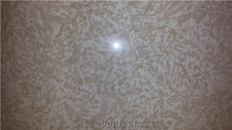 Tiger Beige Limestone Slabs & Tiles, Beige Polished Limestone Floor Tiles, Wall Tiles Egypt