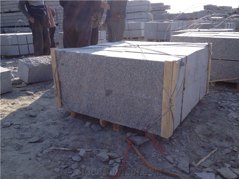 Loweat Price Grey Granite Mushroom Stone from China