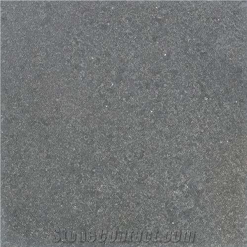 Fossil Ocean Blue Muschelkalk