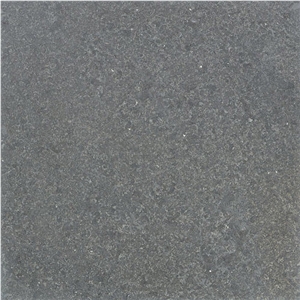 Fossil Ocean Blue Muschelkalk Fossil Ocean Blue Muschelkalk