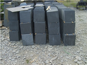 China Black Slate Tiles/Walling/Flooring/Paving