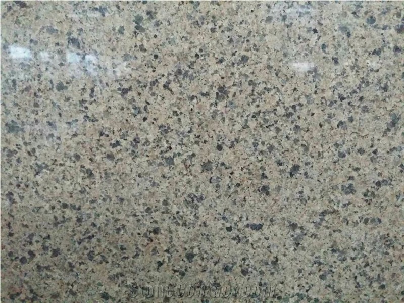 Polished Golden Leaf Granite Slabs/Tiles, Fujian Golden Leaf Granite