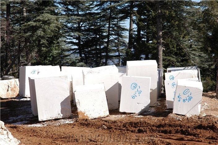 Lymra Limestone (Limra Limestone) Blocks