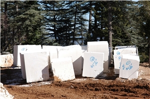Lymra Limestone (Limra Limestone) Blocks