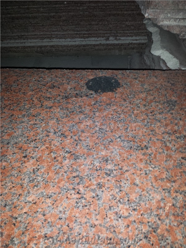 China G562 Big Red Granite Maple Leaf Red Stairs and Risers, Wall Cading , Floor Covering and Wall Tiles, Take Project Orders, Maple Leaf Red Granite Stairs & Steps