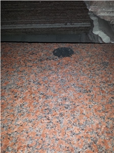 China G562 Big Red Granite Maple Leaf Red Stairs and Risers, Wall Cading , Floor Covering and Wall Tiles, Take Project Orders, Maple Leaf Red Granite Stairs & Steps