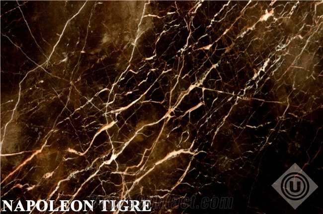 Namib Sahara Gold Granite Slabs & Tiles