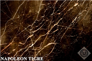Namib Sahara Gold Granite Slabs & Tiles