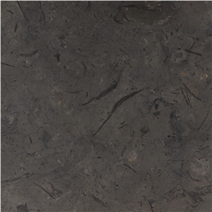Mediterranean Grey Limestone Tiles & Slabs, Seagrass Grey Limestone Turkey
