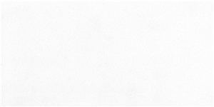 Pure White Quartz Stone for Countertops Nv601